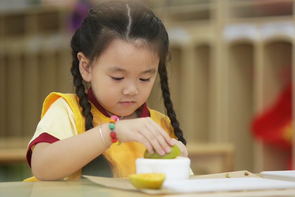 Phương pháp Dubaiplace link đăng nhập Montessori ngày càng phổ biến tại Việt Nam