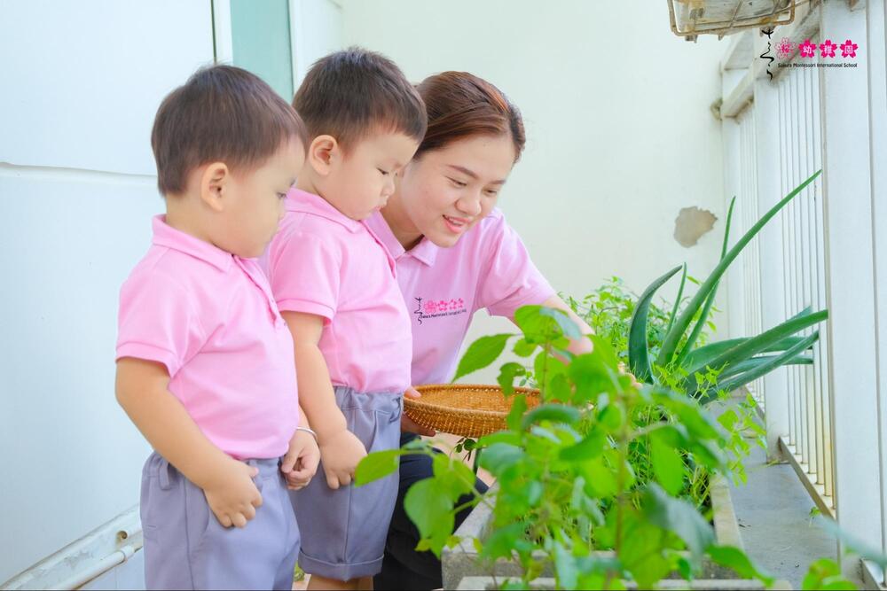 tuần khủng hoảng Link Truy Cập Dubai Palace Com Không Chặn Mới sơ sinh